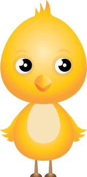 Cute baby chick vector