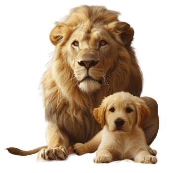 Lion with a puppy transparent background png