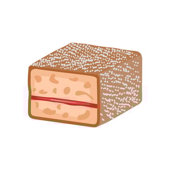 Lamington, Australia Symbols vector