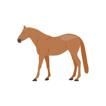 Horse Zodiac, China Symbols Illustration vector
