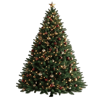 christmas tree transparent background png