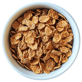Bowl of Bran Flakes png