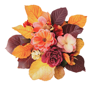 Vibrant autumn bouquet of flowers and leaves png