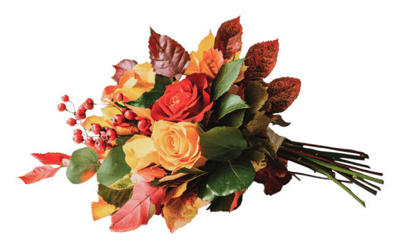 Beautiful autumn bouquet with vibrant colors png