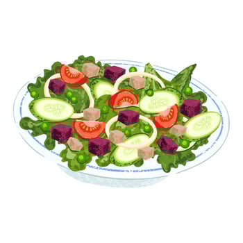 Colorful Textured Illustration of Vegetable Salad in a Bowl Isolated on White Background vector