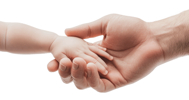 Adult and infant hands connect tenderly png
