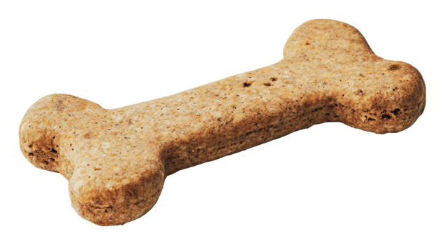 Dog bone shaped treat on white background png