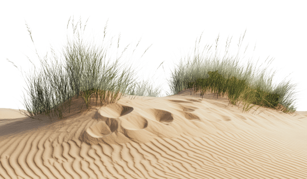 Sand dunes with grass in a natural landscape png