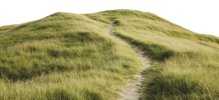 Pathway winding through grassy hills in nature png