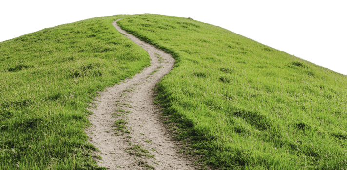 Winding path through lush green hillside landscape png
