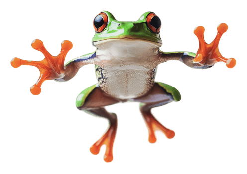 Vibrant green frog leaping mid-air png