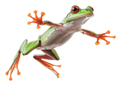 Colorful frog leaps in bright light png