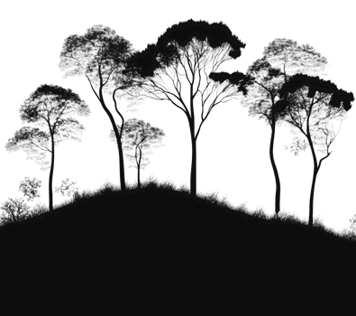 Silhouetted trees on a hill during twilight png