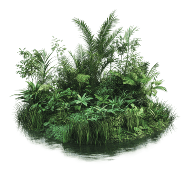 Lush tropical island surrounded by water landscape png