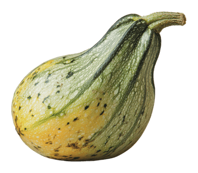 Fresh acorn squash on a white background png