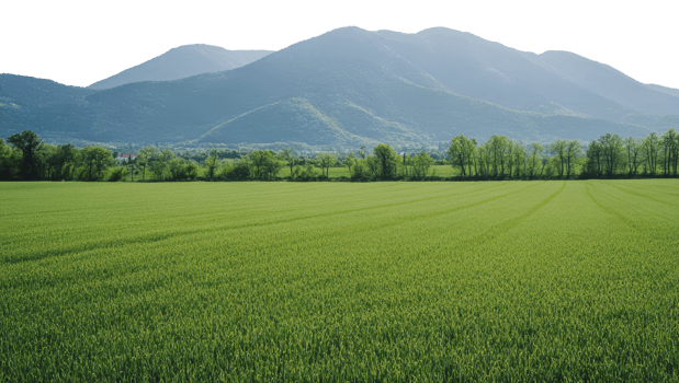 Green landscape with mountain backdrop png