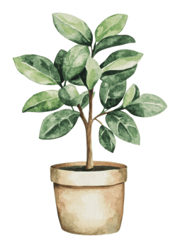 Potted plant with lush green leaves in soft tones png