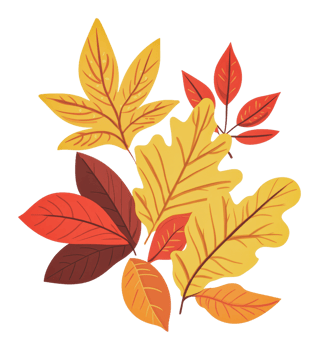 Vibrant autumn leaves in natural display png