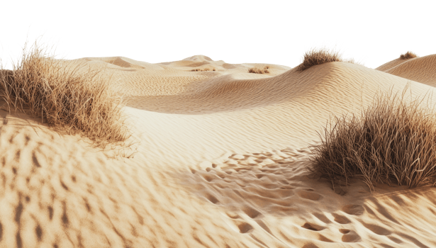 Desert with gentle dunes and grass png
