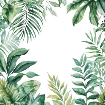 Green tropical leaves frame for artistic designs png