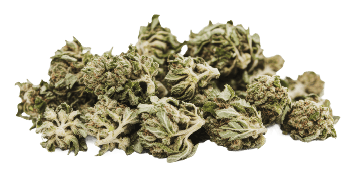 Ready-to-use cannabis buds png