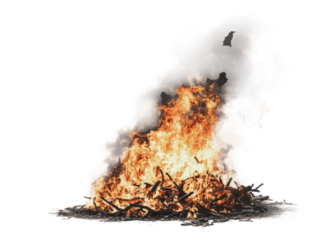 Flames engulfing dry branches in a fiery blaze png