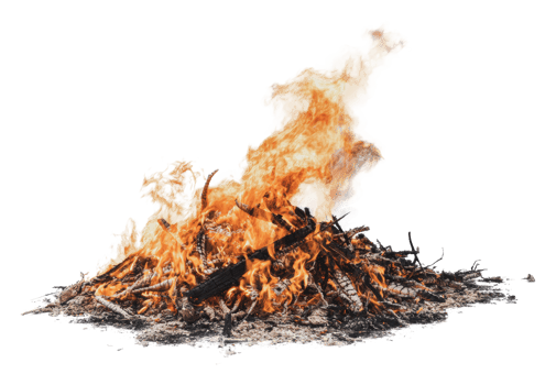 Flames consume dry wood in a controlled burn png