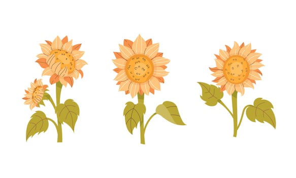 Set of cute sunflowers in flat style vector
