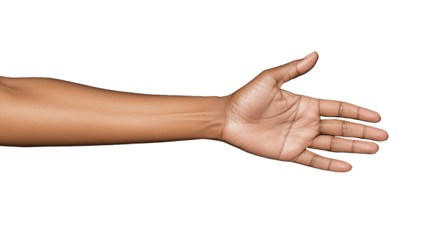 Open hand gesture on transparent background showcasing human anatomy and details png