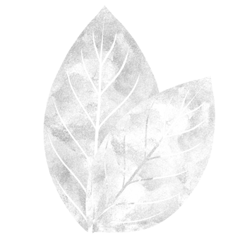 Two shimmery silver and white leaves png
