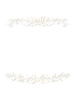 white frame Christmas Border with a floral design png