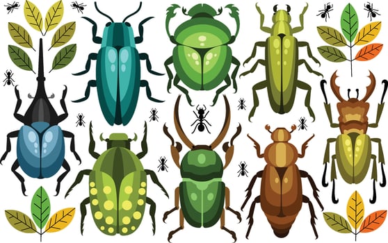 Insects Bug Illustration vector