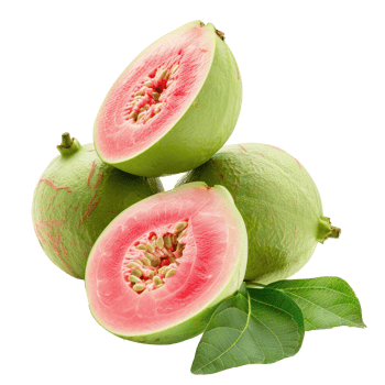 Heap of Fresh Guava, clipping path isolate on transparency background png