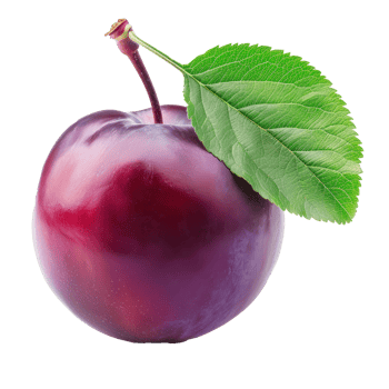 Fresh Plum with green leaves, clipping path isolate on transparency background png