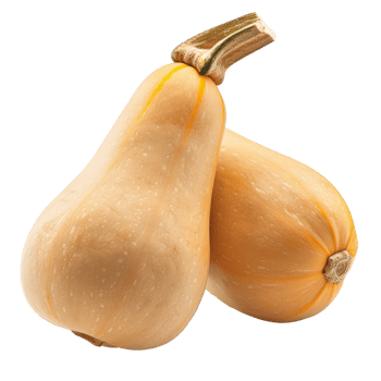 Butternut Squash, clipping path isolate on transparency background png
