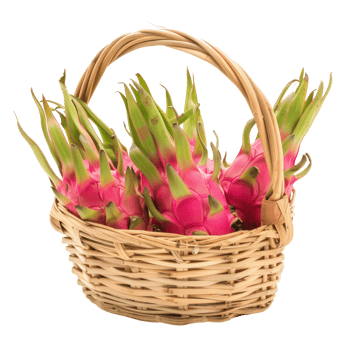 Dragon fruit in a basket isolate on transparency background png