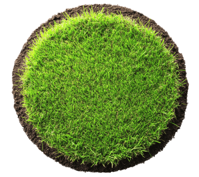 Circle of land with grass isolated on transparent background png