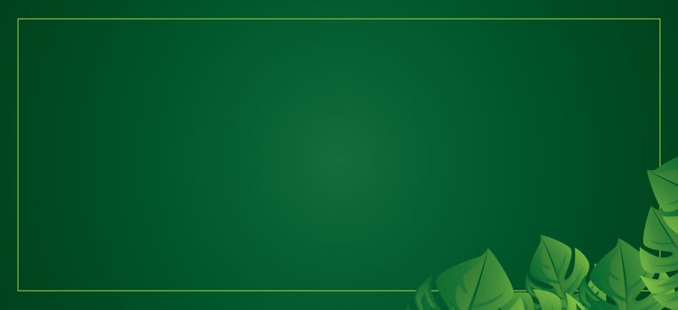 Green background with leaves and a square frame vector