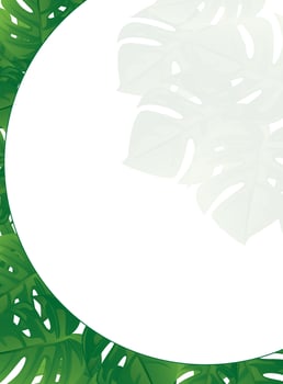 Tropical leaves and a circular frame with space for text vector
