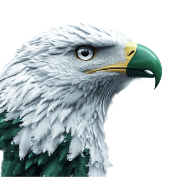 Eagle Head with Green Feathers on Transparent Background png
