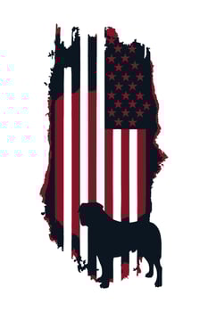 Bulldog silhouette on the american flag vector