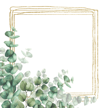 Eucalyptus leaves and branches with gold frame. Watercolor realistic hand drawn floral illustration. Square frame, template for wedding invitations, festive or greeting cards. Isolated from background png