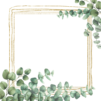 Eucalyptus leaves and branches with gold frame. Watercolor hand painted floral illustration. Square frame, template for wedding invitations, save the date or greeting cards. Isolated from background png