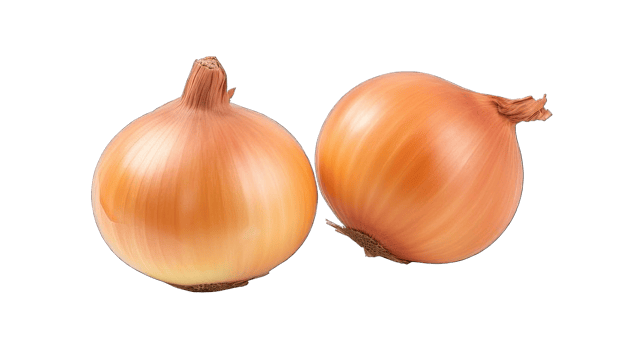 Collection of . Onion, isolated on a transparency background. png