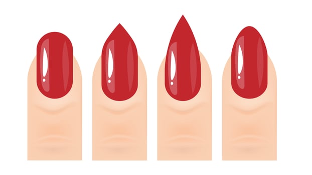 illustration woman finger with maroon nail art vector