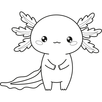 Outline cute Axolotl. Line drawing png