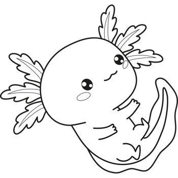 Outline Axolotl. Line drawing png