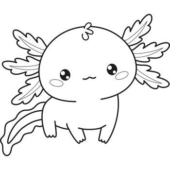 Outline cute Axolotl. Line drawing png