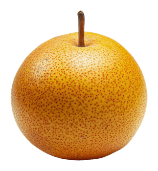 Fresh Asian pear on a white background png