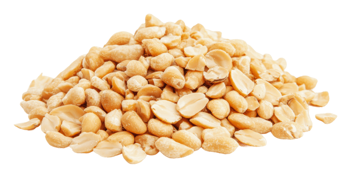 Shelled peanuts arranged on a clean surface png